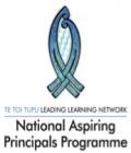 Napp Logo